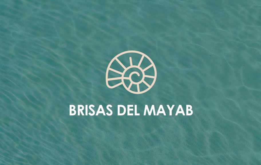logo brisas